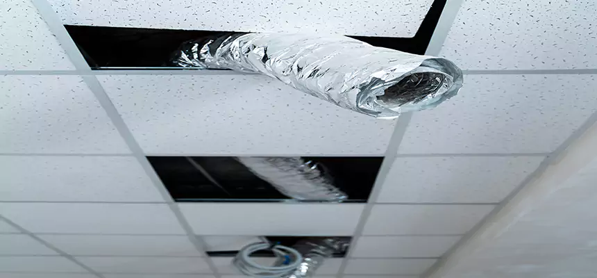 Affordable HVAC Sanitizing After Pest Removal in Warwick