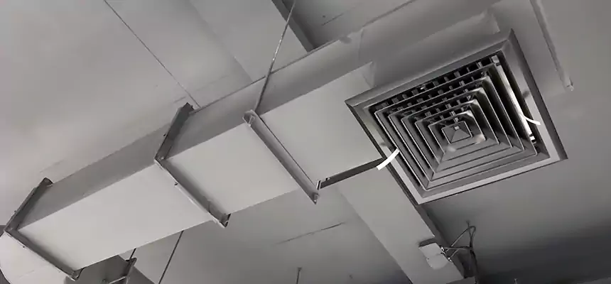 Our Pest Removal From Ducts Services in Warwick, RI