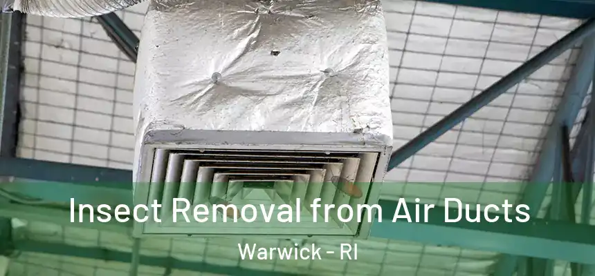  Insect Removal from Air Ducts Warwick - RI