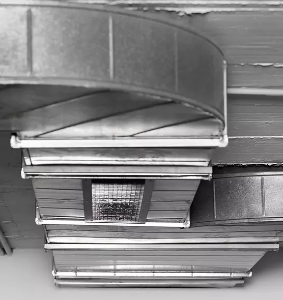 Professional Air Duct Pest Removal in Warwick, RI