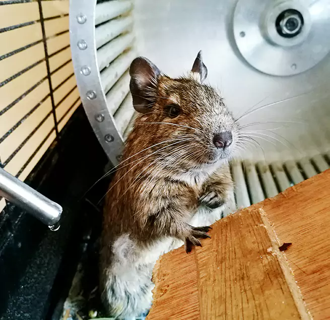 Why Homeowners & Businesses Trust Us Warwick, RI