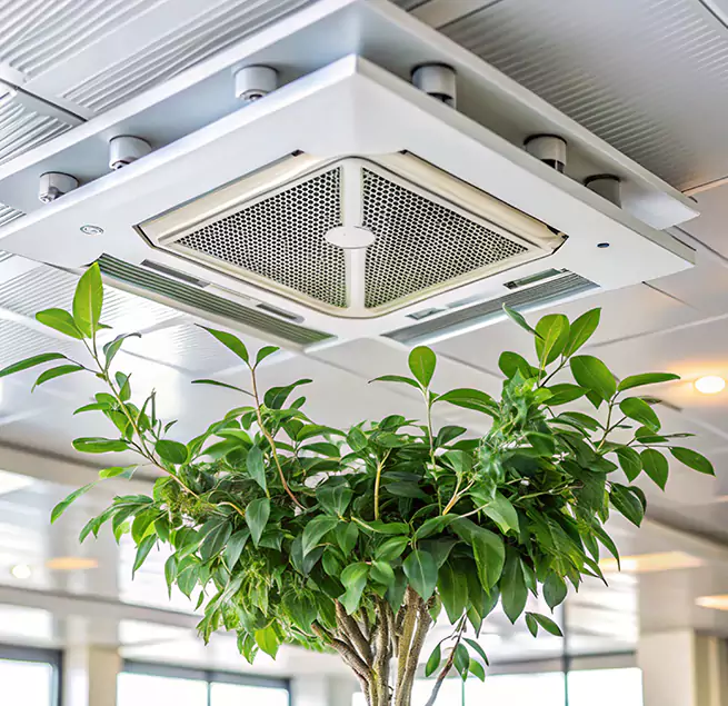 Why Homeowners & Businesses Trust Us in Warwick, RI