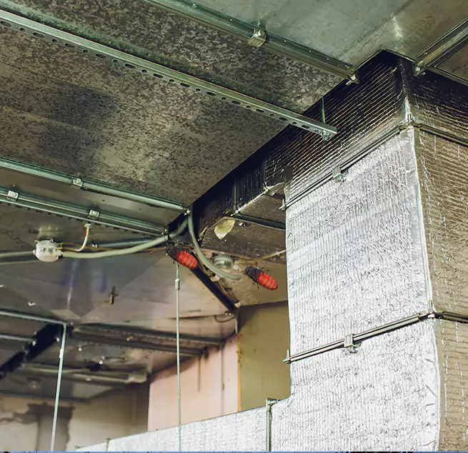 Why Homeowners & Businesses Trust Us Warwick, RI?